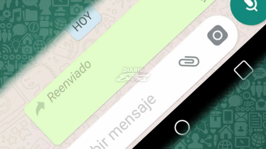 Diario Extra Aprenda A Quitar La Etiqueta De Reenviado En Los Mensajes De Whatsapp 3905